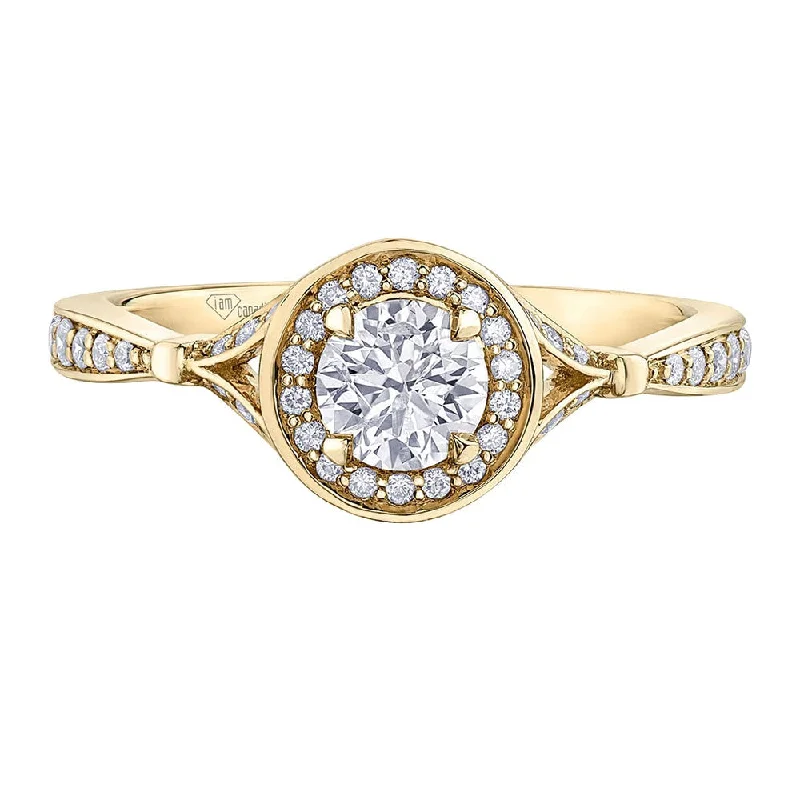 Women's Diamond Rings with Side - Stone Pave Setting for a Sparkling and Continuous ShineModern Canadian Diamond Halo Ring